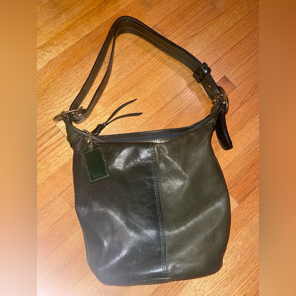 This purse is adorable! I love the purse but I got a new green one.